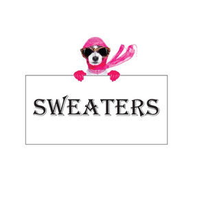 Winter Great Sweaters